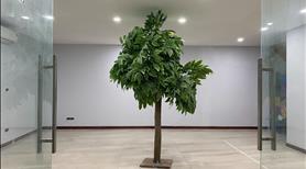 VP từ 100m2 hạng B giá TỐT, Sàn đẹp cho công ty 20 nhân sự trung tâm Đà Nẵng- Mizuland - Ảnh 9