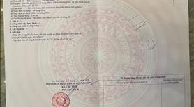 Chính chủ e cần bán ra lô đât đấu giá tại  hương đình mai đình dt 95 m - Ảnh 3
