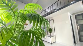 Căn hộ Duplex Siêu Rộng - không giới hạn người - rẻ , đẹp - Ảnh 9