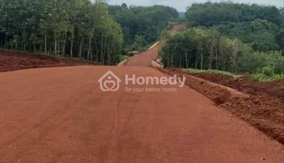 Cần bán gấp đất có đường đang mở rộng 15m - Ảnh 1