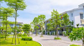 Bán Siêu Phẩm Nhà phố T3 Belhomes 96m2 - Đối diện công viên Central Park - Ảnh 6