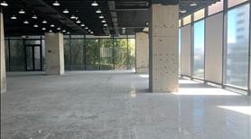 Văn phòng 285m2, đẹp NHẤT NHÌ thành phố, quy tụ nhiều công ty IT hàng đầu Đà Nẵng- Mizuland - Ảnh 3