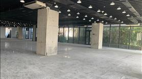Văn phòng 285m2, đẹp NHẤT NHÌ thành phố, quy tụ nhiều công ty IT hàng đầu Đà Nẵng- Mizuland - Ảnh 2