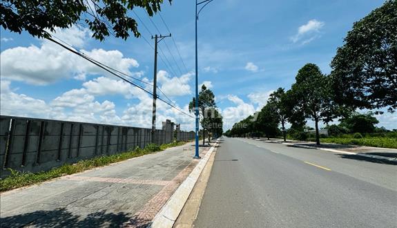 Bán 6759m2 đất mặt tiền đường tỉnh lộ 52 - Thị Trấn Đất Đỏ. Dt 90x75m phủ hồng đã xây hàng rào - Ảnh 1