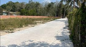 Cơ Hội Đầu Tư Hấp Dẫn: 3 Nền Liền Kề Có 150m2 Đất Thổ Cư, SHR, Giá Tốt LH 0979899158 Mr Phương - Ảnh 2