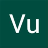 Vu Dinh