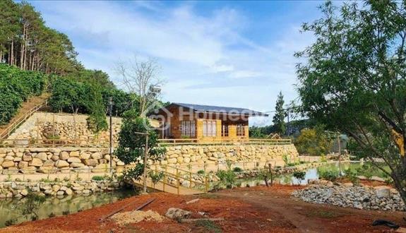 Cần bán gấp Farmstay view đẹp tại xã Xuân Thọ, Đà Lạt 9000m2 Thích hợp KD Farmstay hoặc Camping - Ảnh 1