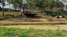 Cần bán gấp Farmstay view đẹp tại xã Xuân Thọ, Đà Lạt 9000m2 Thích hợp KD Farmstay hoặc Camping - Ảnh 5