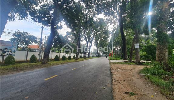 Bán đất đường Huỳnh Văn Nghệ thị trấn Gia Ray huyện Xuân Lộc - Ảnh 1