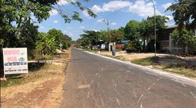 Bán Gấp 20x40=800m2 Đất Gần Kcn Shr Giá 195 Triệu Bao Mọi Phí Sang Tên - Ảnh 2