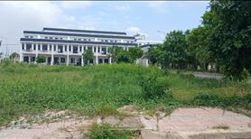 Đất Nền Sổ Hồng Riêng Cầm Sẵn, Giá Rẻ Hơn Thị Trường 1tỷ. The Sol City - Cần Giuộc - Ảnh 12