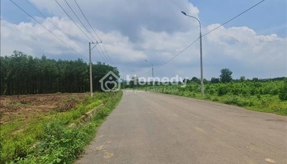 Bán 3 mẫu đất MT đường Xuân Thành Trảng Táo huyện Xuân Lộc giá 6 tỷ / mẫu - Ảnh 1
