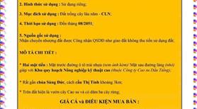 Đất CLN Chính Chủ giáp KCN tại Long Hòa, Dầu Tiếng, Bình Dương - Ảnh 4