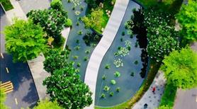 Nhà Biệt Thự Sẳn Sổ 172m2 (12x15m) Có Sân Vườn Giảm Giá Cho Căn Cuối - Ảnh 5