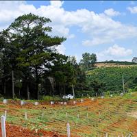 Bán hơn 400m2 đất vị trí trung tâm xã Nam Hà, giá 590 triệu, sát đường nhựa DH93