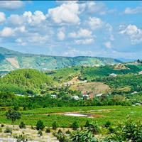 Bán đất thổ cư gần Chùa Linh Ẩn chỉ 590 triệu, view đồi thông mát mẻ