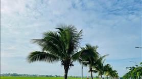 Chỉ Với 600 Triệu Sở Hữu Ngay Lô Đất Nền Liền Kề Ecopark , Vành Đai 3 TP.HCM , Sổ Hồng Riêng  - Ảnh 7
