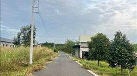 Ngân hàng phát mãi nhà vườn 1300m2 ,200m2 đất ở - Ảnh 3