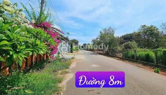 Ngân hàng phát mãi nhà vườn 1300m2 ,200m2 đất ở - Ảnh 1