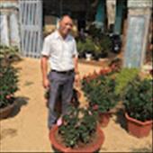 kiệt đỗ