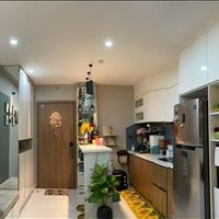 Mình có nhiều CHCC 1Pn, 2Pn, 3Pn, Cần Bán ở Summer Square, 243 Tân Hòa Đông, P14, Quận 6, giá tốt