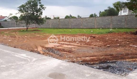 Chủ Bán (16x66)=1008m2 Đất Gần Chợ, Giá 250 Triệu Hồng Riêng, Ngay Kcn - Ảnh 1