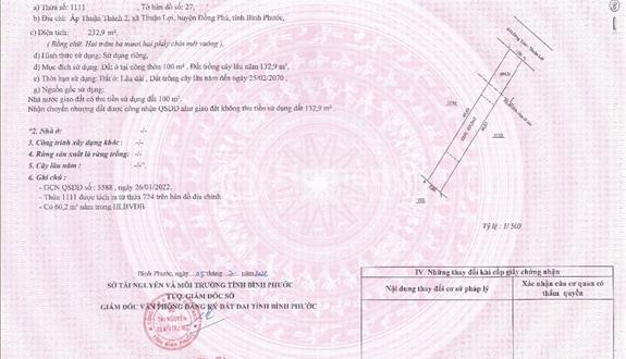 Chính chủ cần bán Lô đất mặt tiền đường nhựa Đồng Tâm Thuận Lợi - Ảnh 1