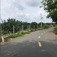 Vườn bưởi như hình Kcn bàu bàng 650tr đường nhựa 12m, sổ riêng