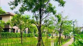 Sở hữu nhà biệt thự, liền kề Waterpoint Nam Long, 2 tầng, giá 21.9 tỷ tại Bến Lức - Long An - Ảnh 3