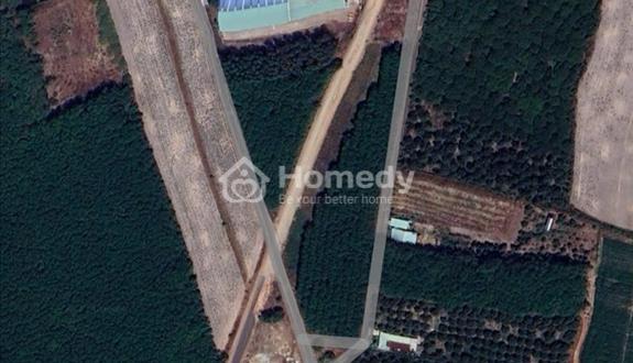 Bán Đất 2 Mặt Tiền Đường Hồ Chí Minh 13.400 m2 , Thổ Cư Giá 4,1 Triệu/ M2 - Ảnh 1