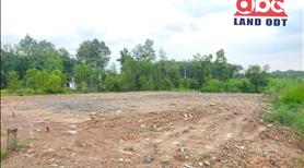 Bán đất Xã Đồi 61, Trảng Bom, Đồng Nai, 4400m2 giá chie 4ty8400 - Ảnh 5