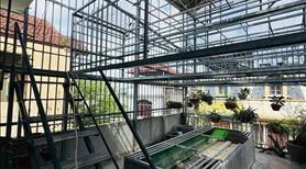 Chính chủ bán gấp nhà mặt phố Nam Dư . Cách ngã tư Lĩnh Nam 100m - Ảnh 10