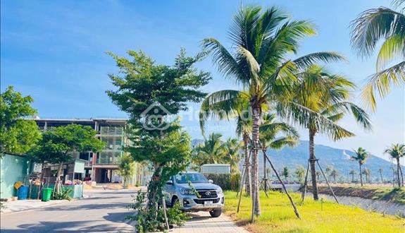 Dự án Central Avenue Khu kinh tế Nhơn Hội, Cát Tiến, Phù Cát, Bình Định - Ảnh 1