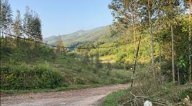 Bán đất rừng Quảng Ninh, giá rẻ bất ngờ. LH: 0983977184 - Ảnh 2