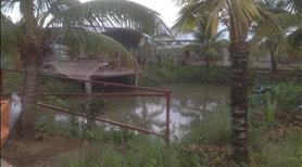 Cho thuê biệt thự vườn MT số 7 Ba Do Sáu Thuận. Xã Tân Qúy Tây huyện Bình Chánh 9 triệu 2000m² - Ảnh 6