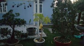 Cho thuê biệt thự vườn MT số 7 Ba Do Sáu Thuận. Xã Tân Qúy Tây huyện Bình Chánh 9 triệu 2000m² - Ảnh 22