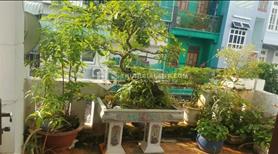 Bán nhà 1T1L, Phạm Hồng Thái, P7, BR-VT, Gần Ngã Tư Giếng Nước, 115m2, Giá Chỉ 6 Tỷ. - Ảnh 13