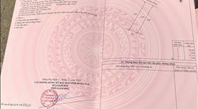 Cần bán 4 nền đất giá tốt cho nhà đầu từ F0. KDC Tân Bình - Vĩnh Cữu - Ảnh 4