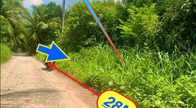 Đất Vườn An Sơn Thuận An 799m2 Giá 6 Tỷ Sổ Riêng Bao Sang Tên. - Ảnh 4