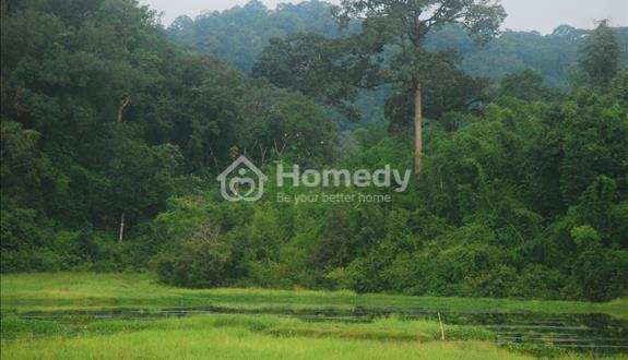 thửa đất phân lô chính chủ,96m2,khu vực xóm cởi, phường trung sơn trầm,thị xã sơn tây, hà nội - Ảnh 1