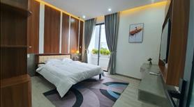 Giảm sâu 300 - Mặt tiền Tô Hiệu- Đường 7.5m - Vừa ở vừa kinh doanh đỉnh. - Ảnh 5