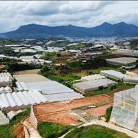 Bán gấp Đất giá rẻ đường ĐanKia, P7, Đà Lạt 121m2 giá chỉ 2.5 tỷ