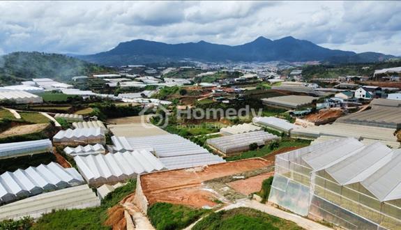 Bán gấp Đất giá rẻ đường ĐanKia, P7, Đà Lạt 121m2 giá chỉ 2.5 tỷ - Ảnh 1