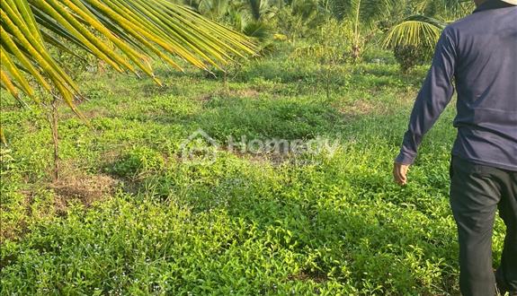 Chính chủ ngộp bán nhanh lô đất vườn gần DT6 trường tiểu Ninh Xuân Ninh Hoà - Ảnh 1