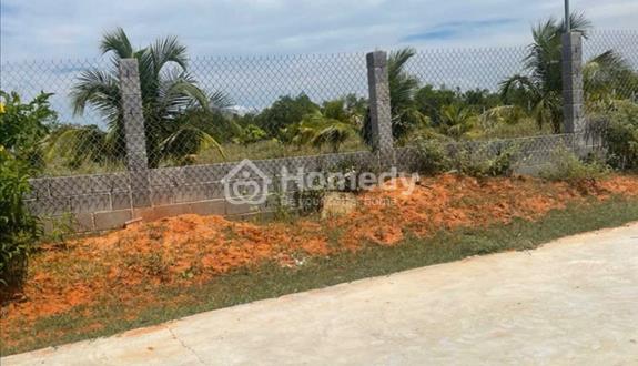 1.5 tỷ sở hữu ngay 1000m2 trong khu dân cư Thiện Nghiệp - Ảnh 1