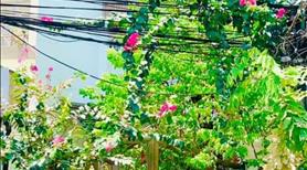 Chỉ Hơn 2 Tỷ Có Ngay Nhà 3 Tầng Trung Tâm Thành Phố, Ô Tô Đậu Ngay Trước Nhà - Ảnh 5