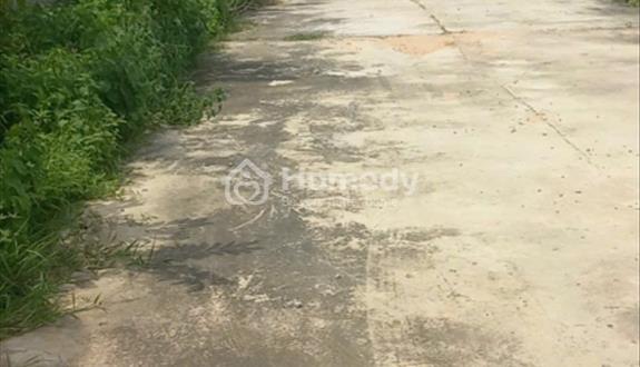 1520m2 thiện nghiệp chỉ 2.8 tỷ,  cách mặt đường nhựa 715  chỉ 20m - Ảnh 1
