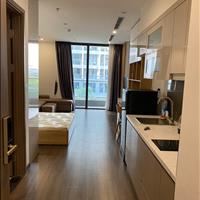 Cho thuê căn hộ studio Vinhomes Riverside 40m2 full đồ giá 9tr.