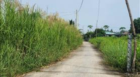 Bán đất gần khu công nghiệp long hậu , hai mặt tiền rộng rãi . - Ảnh 3