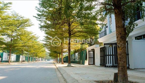 Cần bán gấp bán nhanh liền kề Khu đô thị HUD Sơn Tây, 4 tầng, giá 5 tỷ tại Thị xã Sơn Tây - Hà Nội - Ảnh 1